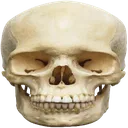 Emoji 3_