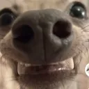 Emoji angrydog