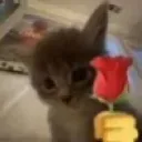 Emoji emoji_3