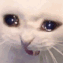 Emoji emoji_40