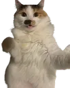 Emoji mia