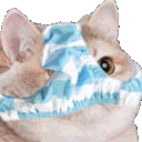Emoji pantycatq