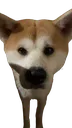 Emoji usop