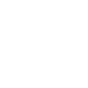 Emoji bullet1