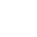Emoji bullet2