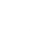 Emoji bullet3