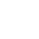 Emoji bullet4