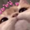 Emoji chat_love_2