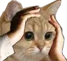 Emoji chat_wtf