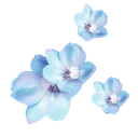 Emoji emoji_119