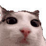 Emoji chat_quitejuge