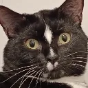 Emoji luluchoqu