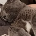 Emoji ZZZ