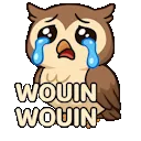 Emoji chouettewouinwouin