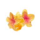 Emoji s_orangeflowers
