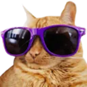 Emoji xCoolCat