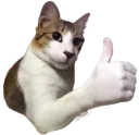 Emoji okay