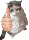Emoji noice
