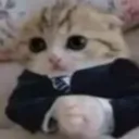 Emoji tama_businescat
