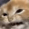 Emoji BC_horror