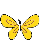 Emoji intersexe_papillon