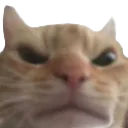 Emoji cat_angry