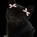 Emoji catnam