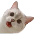 Emoji PaL_Huuh