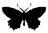 Emoji backup13