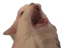 Emoji thurstonwaffless
