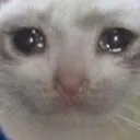 Emoji weep54