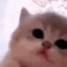 Emoji 1392800625724751993