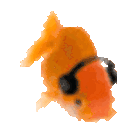 Emoji dancingfish