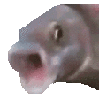 Emoji pogfish