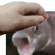 Emoji pat_the_pog_fish