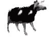 Emoji _polish_cow