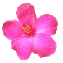 Emoji a_flowerpink