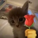 Emoji LOVE