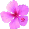 Emoji imagefotor20250129144822