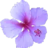 Emoji imagefotor20250129144313