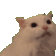 Emoji meow