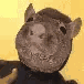 Emoji rat