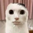 Emoji jevaistetouchezlanuits