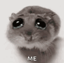 Emoji hamstertristememe