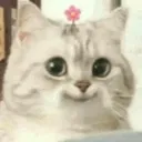 Emoji emoji_134
