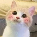 Emoji emoji_135