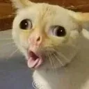 Emoji emoji_136