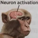 Emoji brainactivation