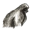 Emoji yeti