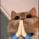 Emoji 05_SweetSins_Cat_Pray